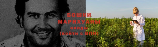 прущие грибы Майский