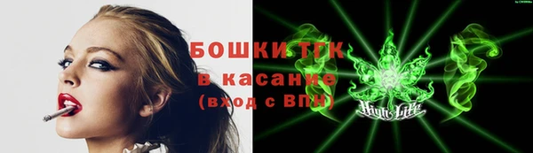 прущие грибы Майский