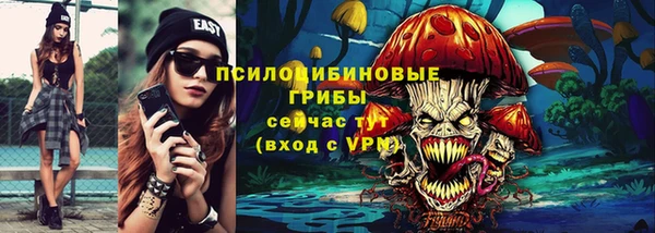 прущие грибы Майский