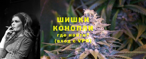 прущие грибы Майский