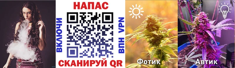 Купить закладки  Кодинск  Канабис OG Kush 